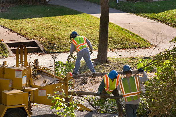 Lawn Irrigation Installation and Maintenance in River Rouge, MI